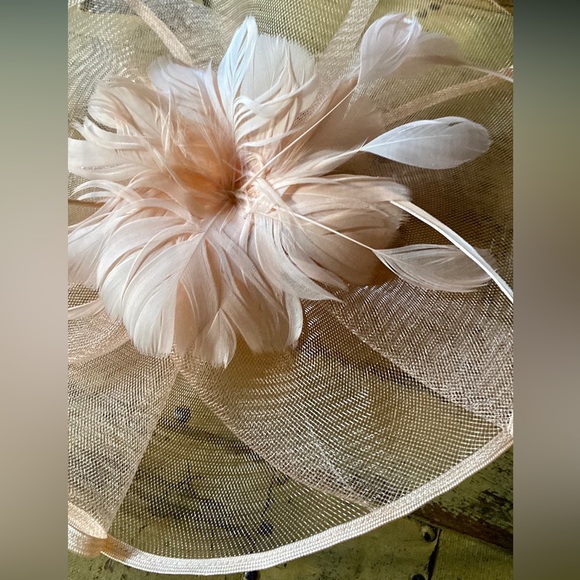 PINK FEATHER FASCINATOR HAT DRESSY MESH SHEER PINK FEATHER CLIP FASCINATOR - Picture 5 of 13
